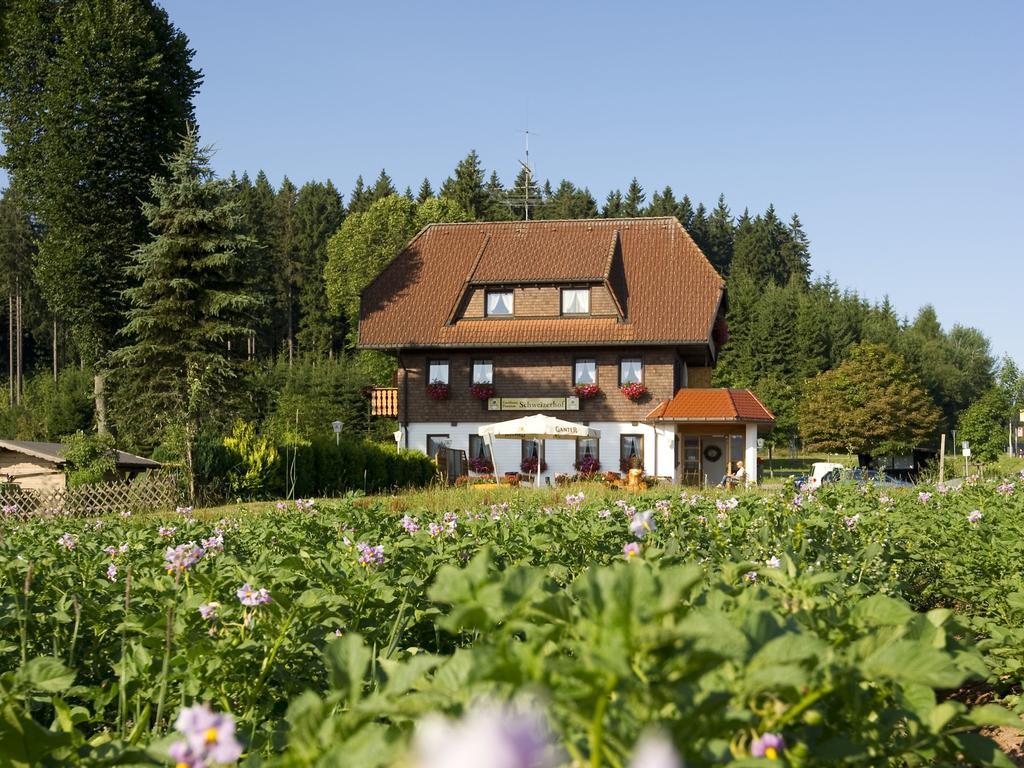 Hôtel Gasthaus Schweizerhof à Titisee-Neustadt Extérieur photo