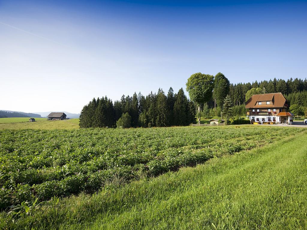 Hôtel Gasthaus Schweizerhof à Titisee-Neustadt Extérieur photo